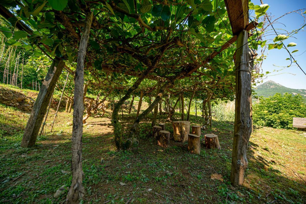 Ethno House Osobak Bed and Breakfast Virpazar Exteriör bild